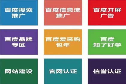 电商SEM推广案例解析